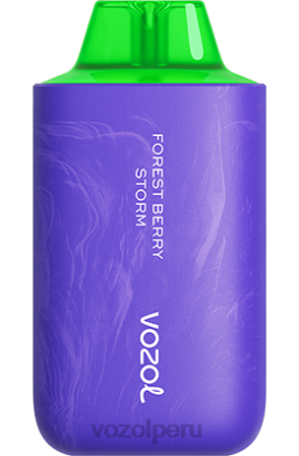 VOZOL STAR 6000/8000v2 tormenta de bayas del bosque - Vozol Vape Flavors 44BNP59