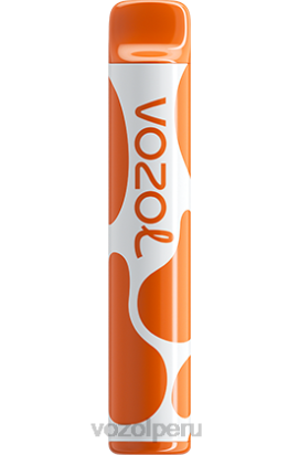 VOZOL JOYGO 600 café - Vozol Vape Flavors 44BNP379
