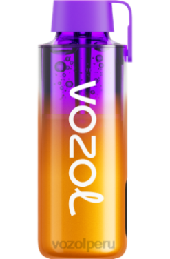 VOZOL NEON 10000 bayas mixtas - Vozol Vape Sabores 44BNP235