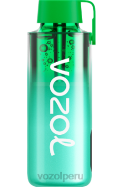 VOZOL NEON 10000 menta de miami - Vozol Vape Flavors 44BNP229